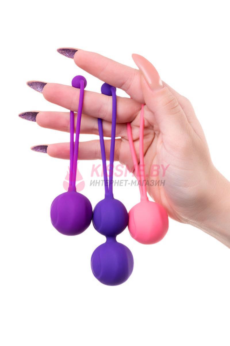Набор вагинальных шариков LEROINA by TOYFA Bloom силикон фиолетово-розовый /Код 564003