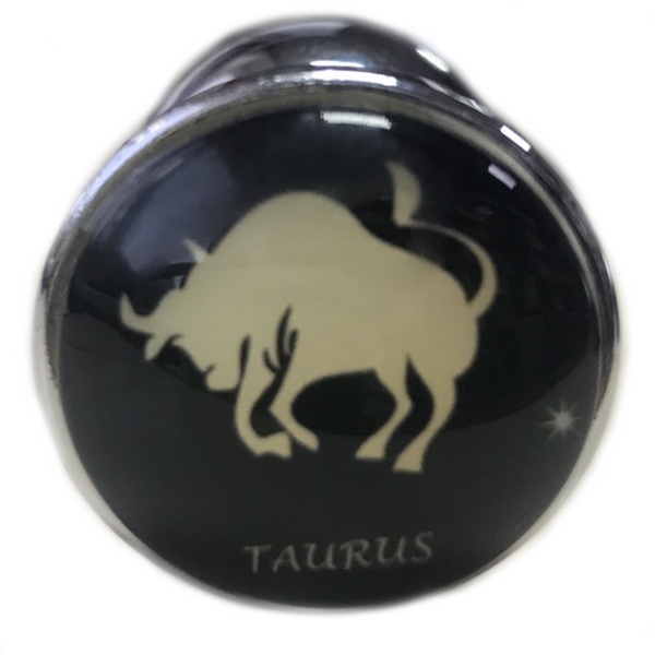 Анальная пробка из стали Zodiac Taurus S