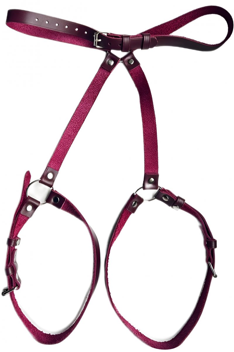 Универсальная бордовая сбруя из натуральной кожи Skinlab