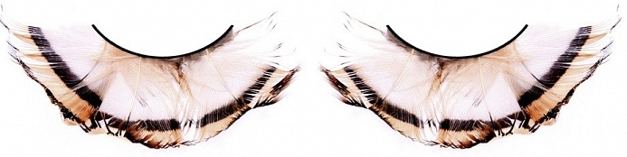 Накладные ресницы в полоску с перьями Baci