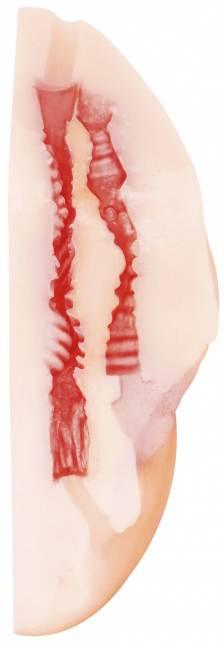 Реалистичный мастурбатор Satisfaction Gorgeous